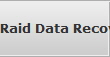 Raid Data Recovery Point Patience raid array